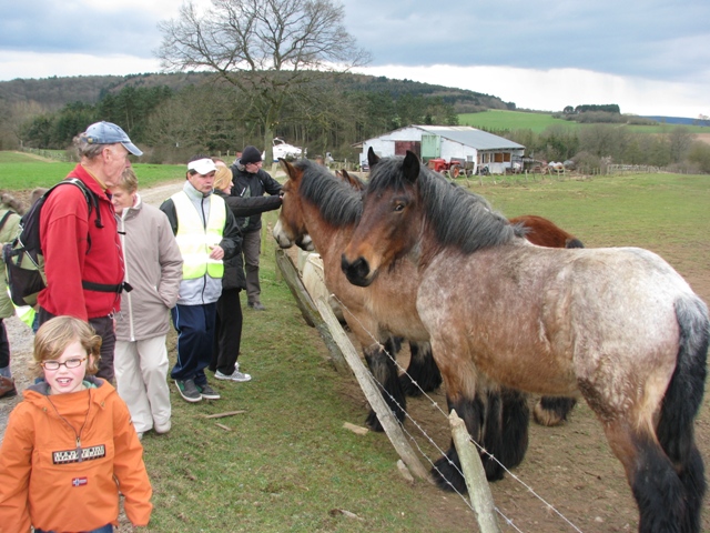 randonnée sportive avec joëlettes, Bure, 2012